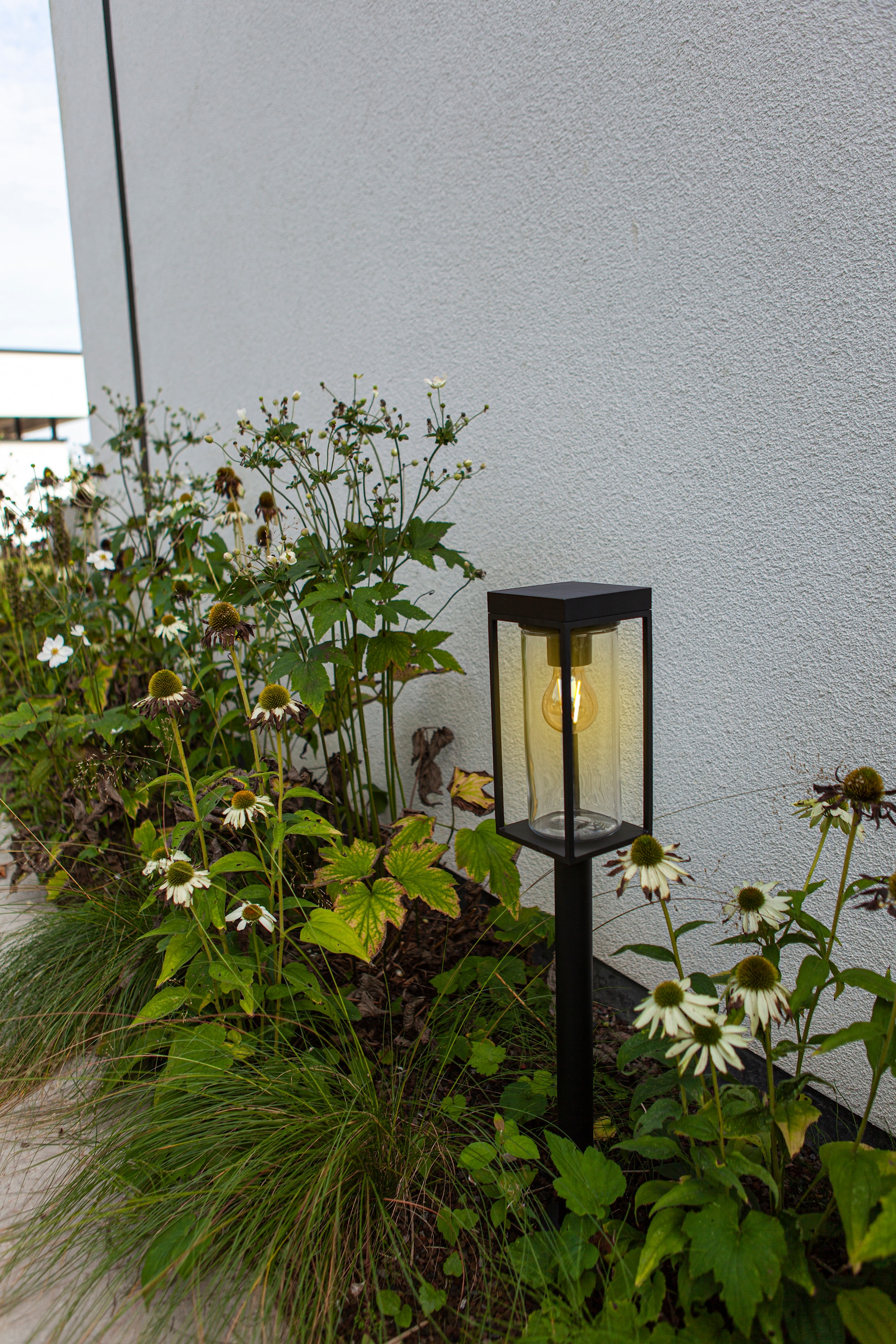 6988802012_6939412070766 (5).jpg