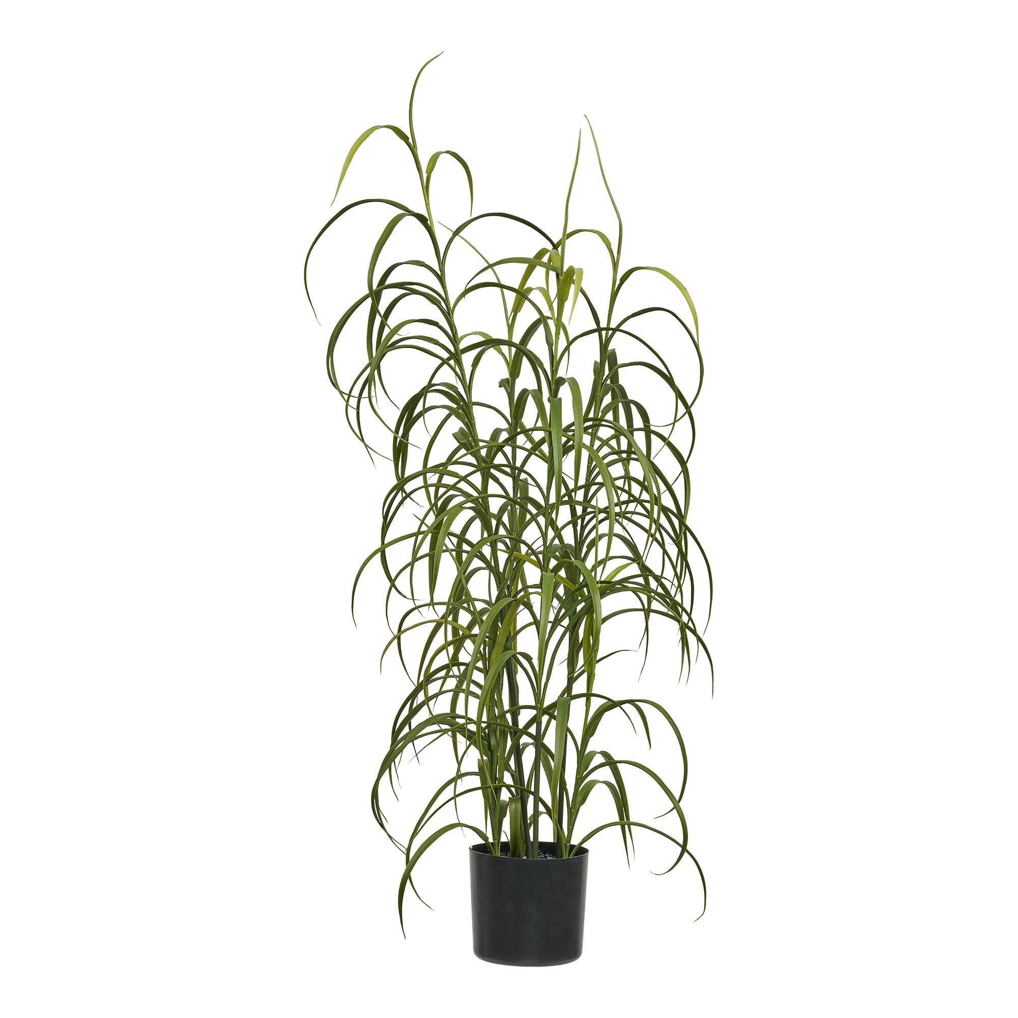 House Nordic Græs plante, grøn H68 cm