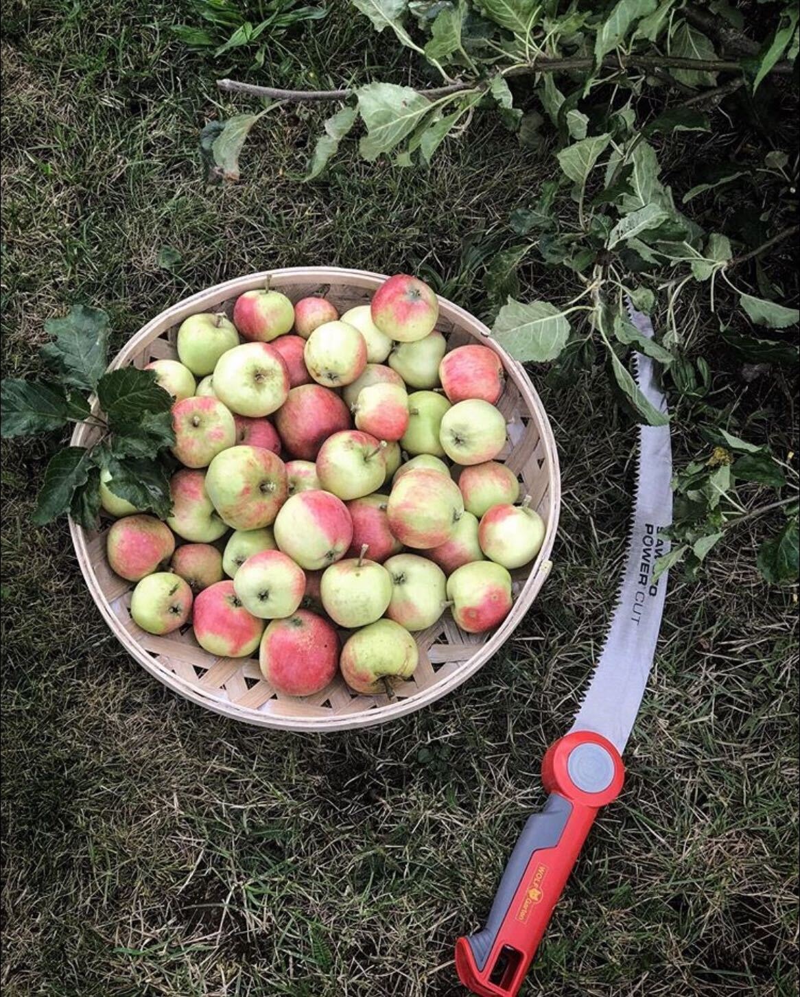 _Image from iOS (39).jpg