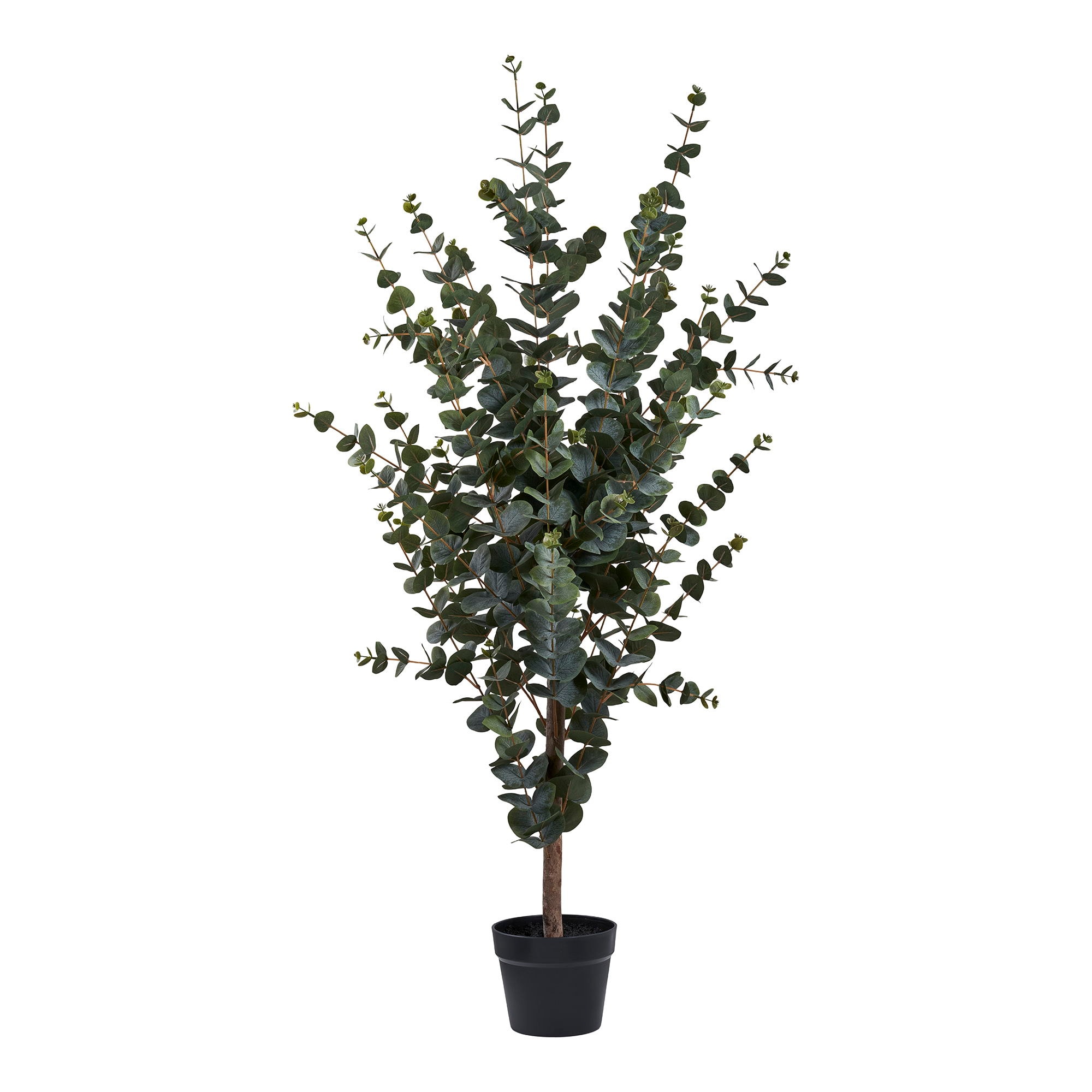 House Nordic Eukalyptus Træ kunstig plante i grøn H120 cm