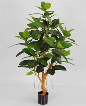 Silkeplanter kunstig gummiplantetræ H120 cm