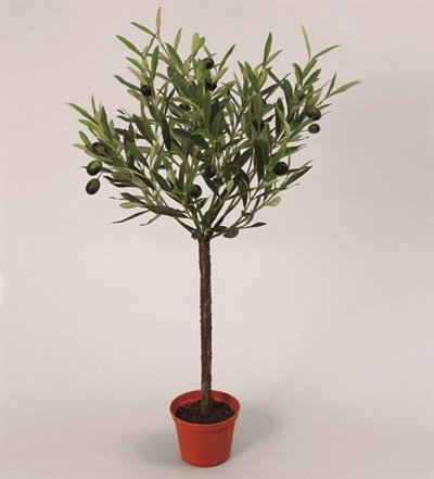 Silkeplanter kunstig mini oliventræ H65 cm
