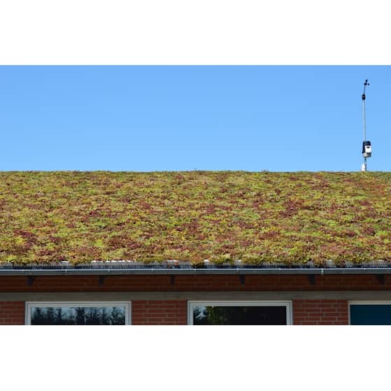 Nature Impact Roof grønt tag gavlprofil rustfri stål 2,5 meter