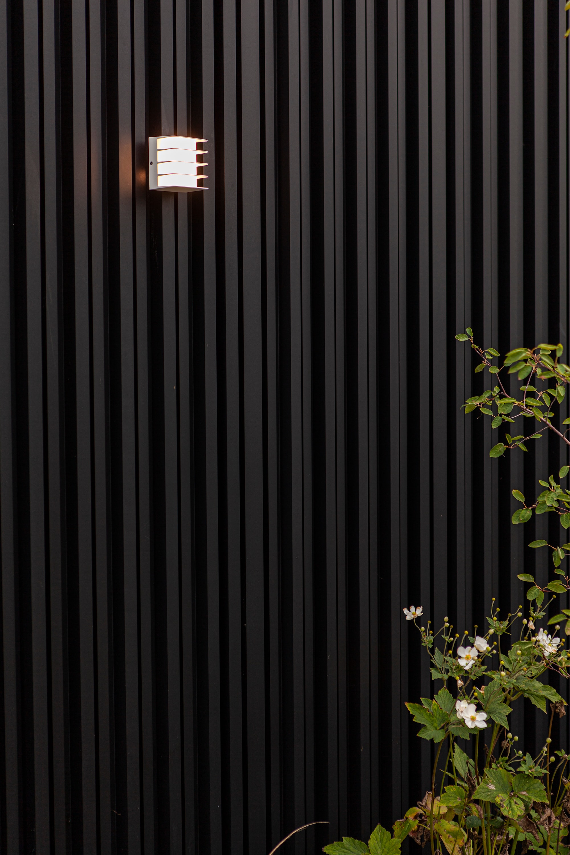 5289401469_6939412014937 (4).jpg