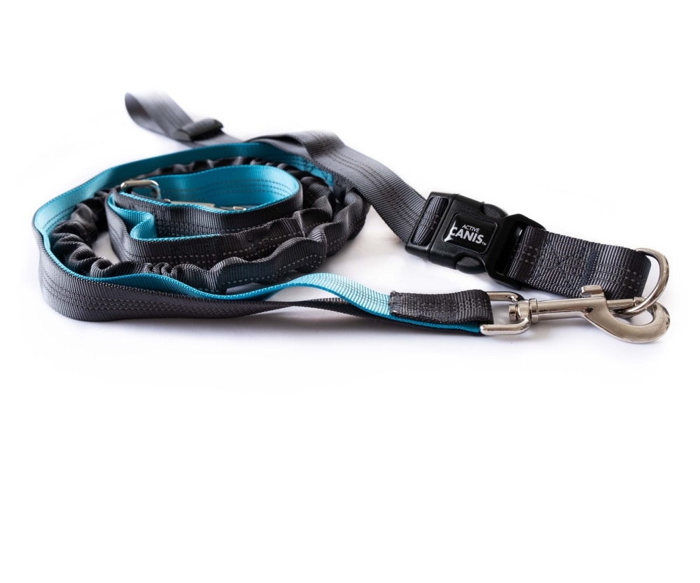 Active Canis Running Leash håndfri hundesnor med taljebælte