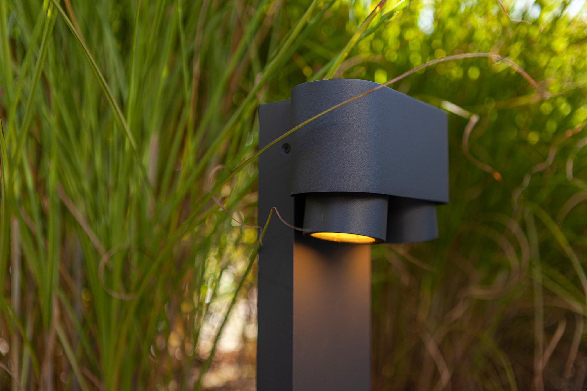 6604004118_6939412070742 (5).jpg