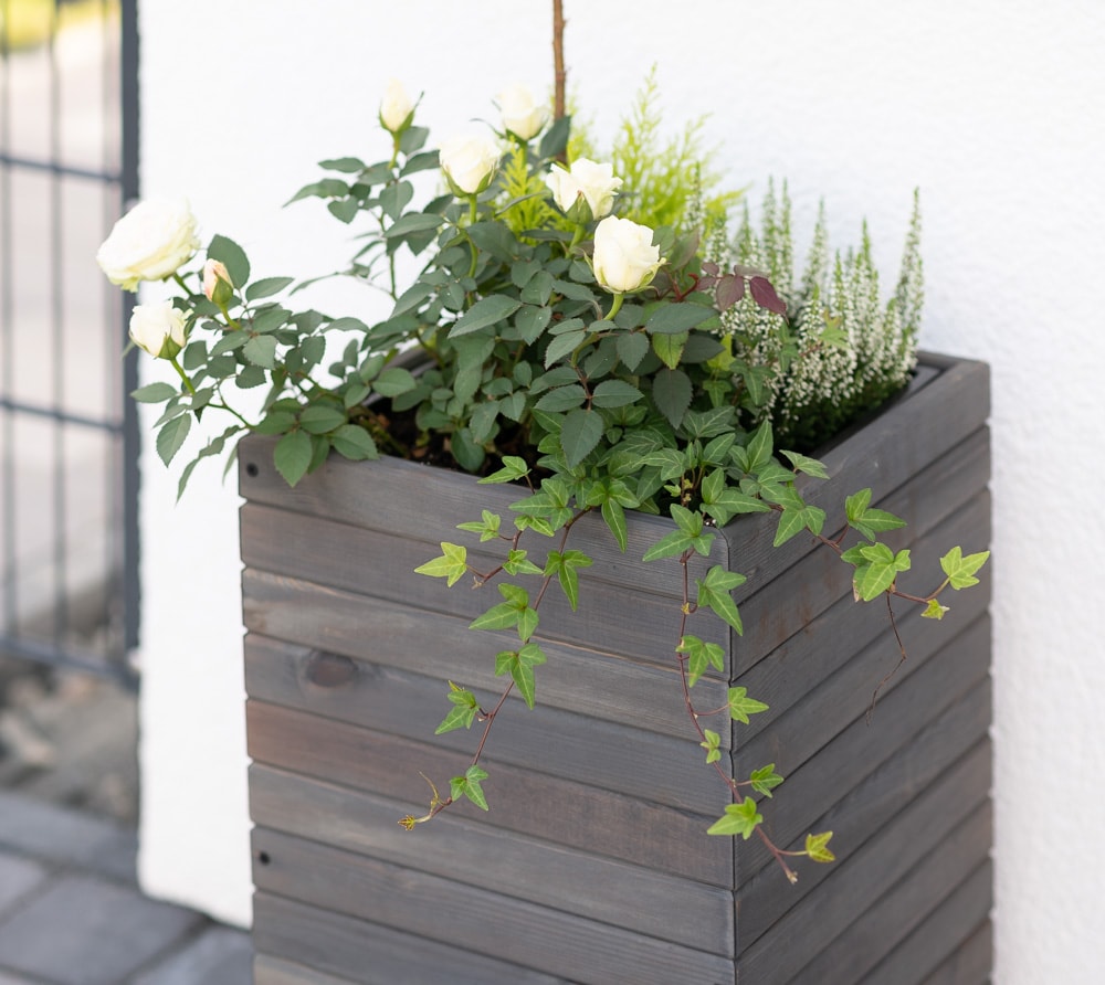 Westmann_Blumen_Pflanzkasten_dunkelgrau_Detail_7[1