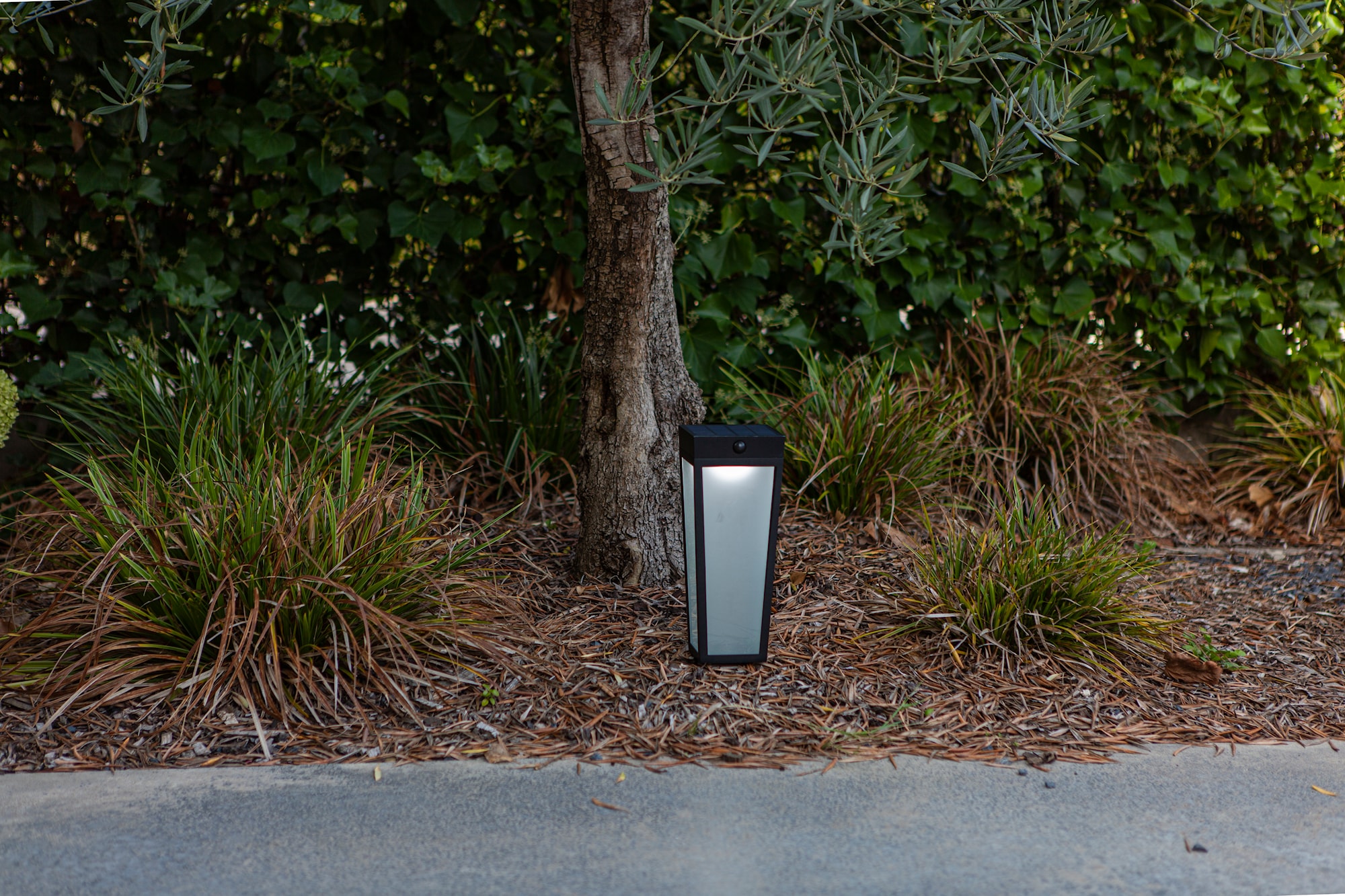 6996601012_6939412089126 (5).jpg