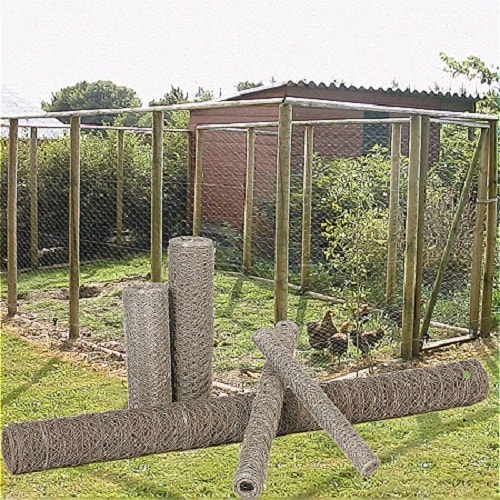 FRI-NAV_5620474__300_getpic ccc.jpg