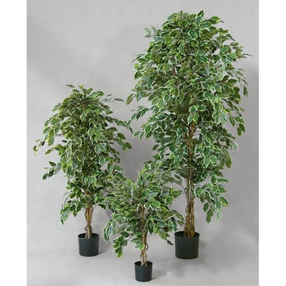 Silkeplanter kunstig Ficus Golden træ H110 cm