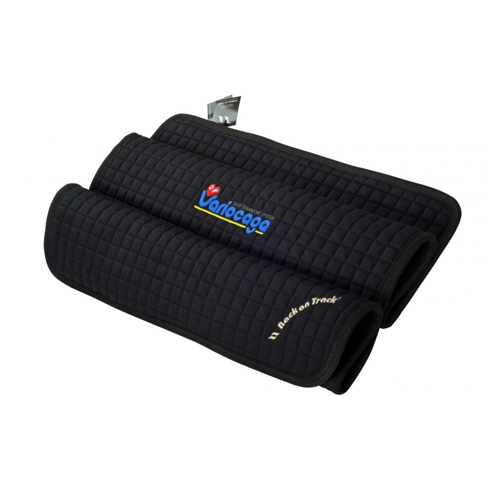 MIMsafe Back On Track hundebursmåtte