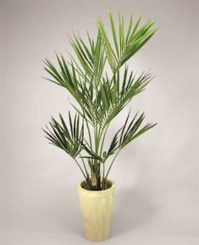 Silkeplanter kunstig Kentia palme H150 cm