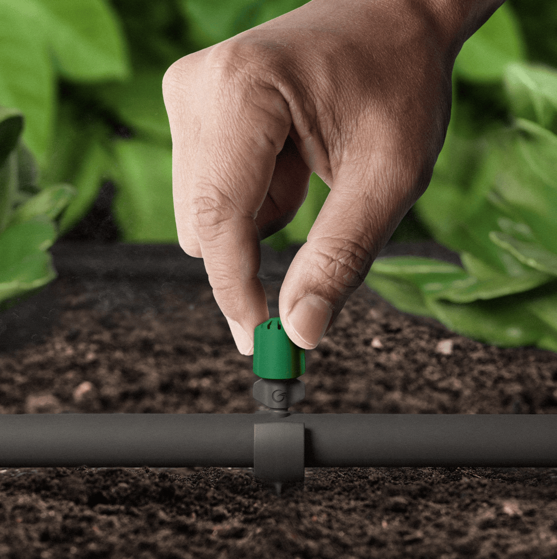 Skärmbild 2024-11-19 103342.png