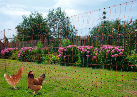 Hønsenet 50m 106 cm Højde