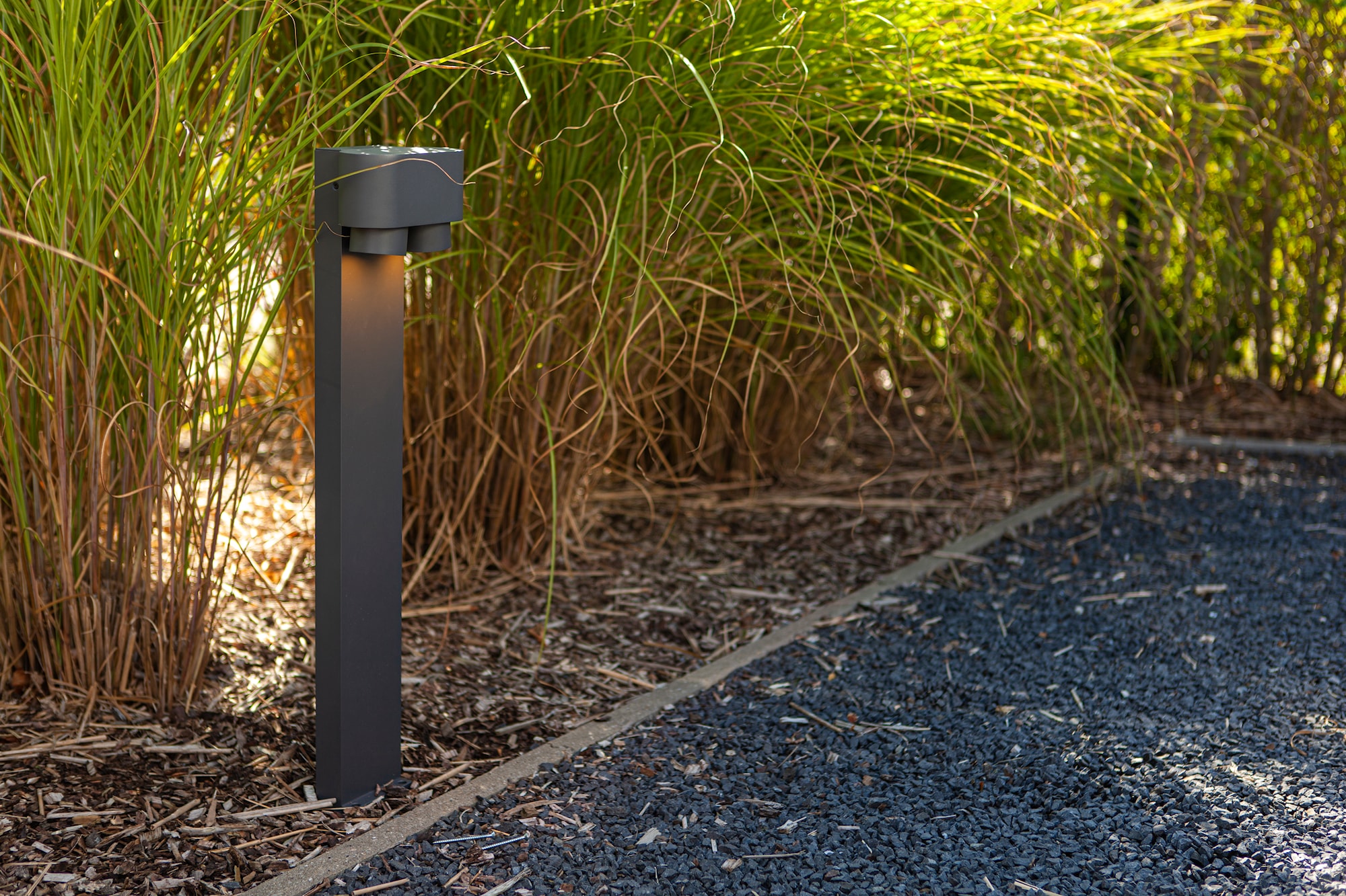 6604004118_6939412070742 (3).jpg