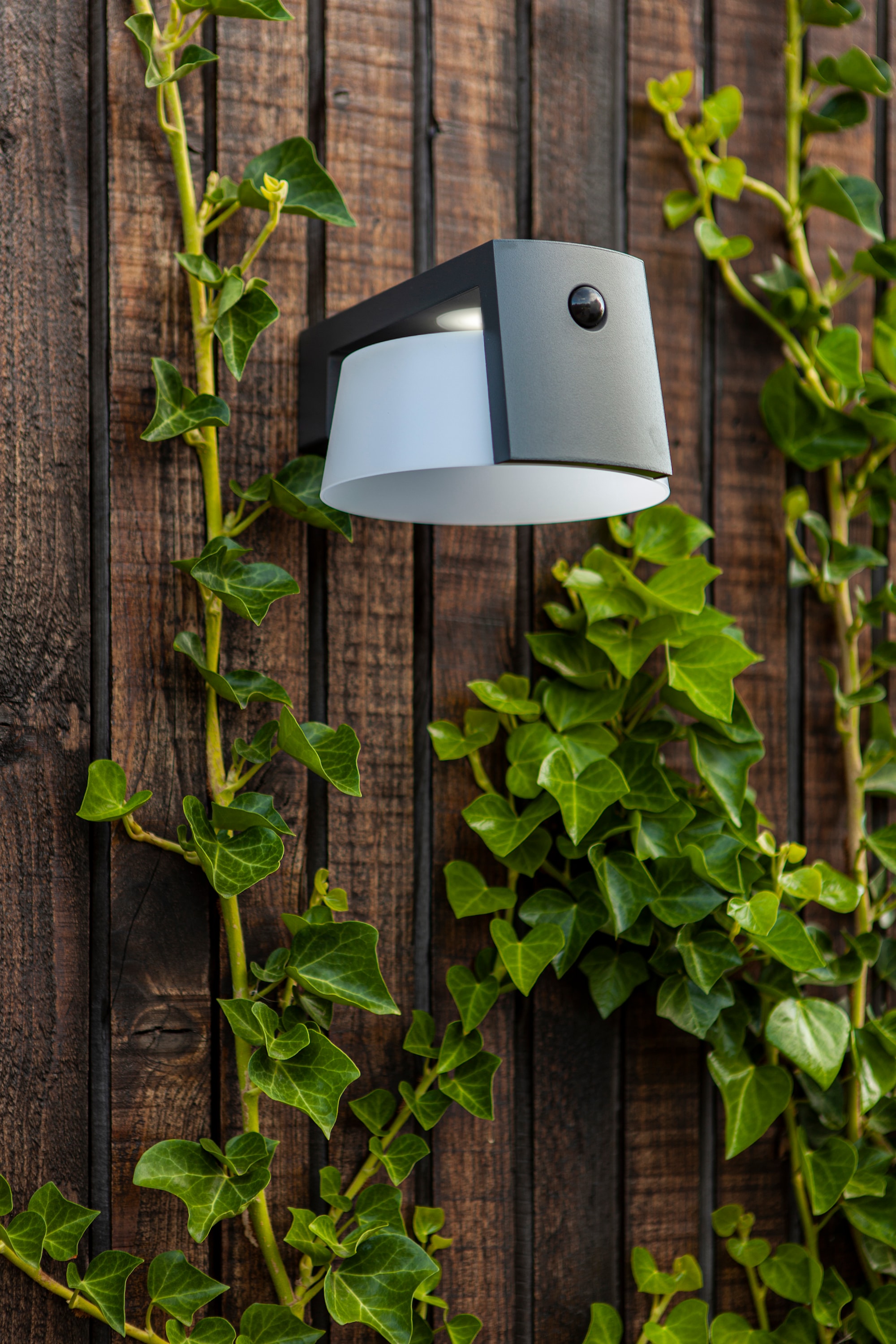 6906001118_6939412014838 (6).jpg