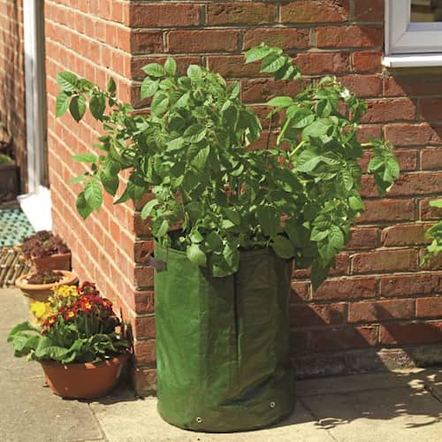 Grow It Potato plantepose Ø40 x 50 cm 2-pak