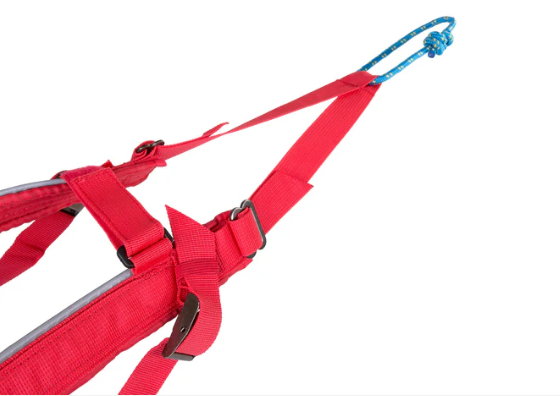 combined harness2.PNG