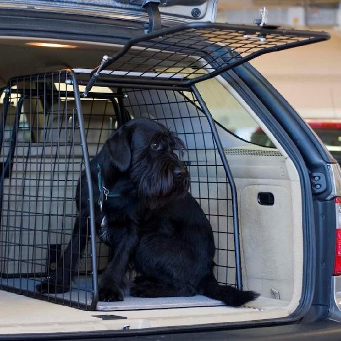 hundbur-artfex-medium__2e6c5974-60d8-433f-b5a8-0af