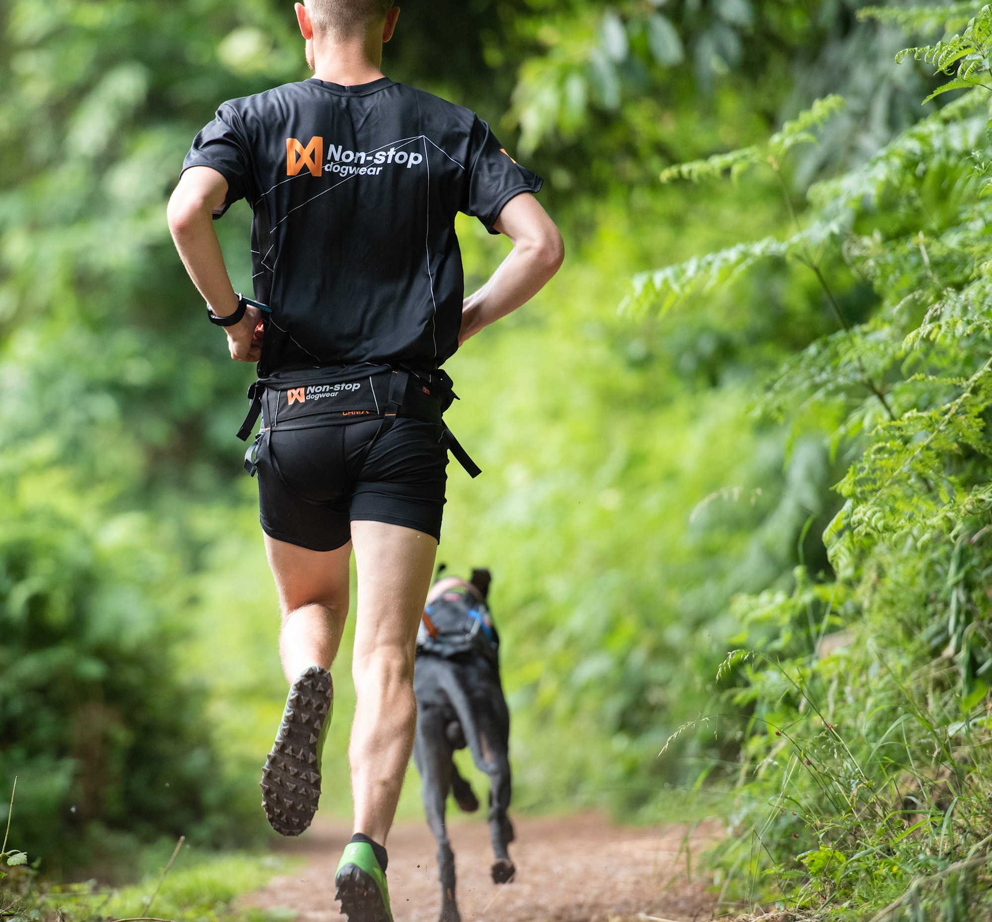 nonstopdogwear_b2b_CaniX Belt, Freemotion Harness 