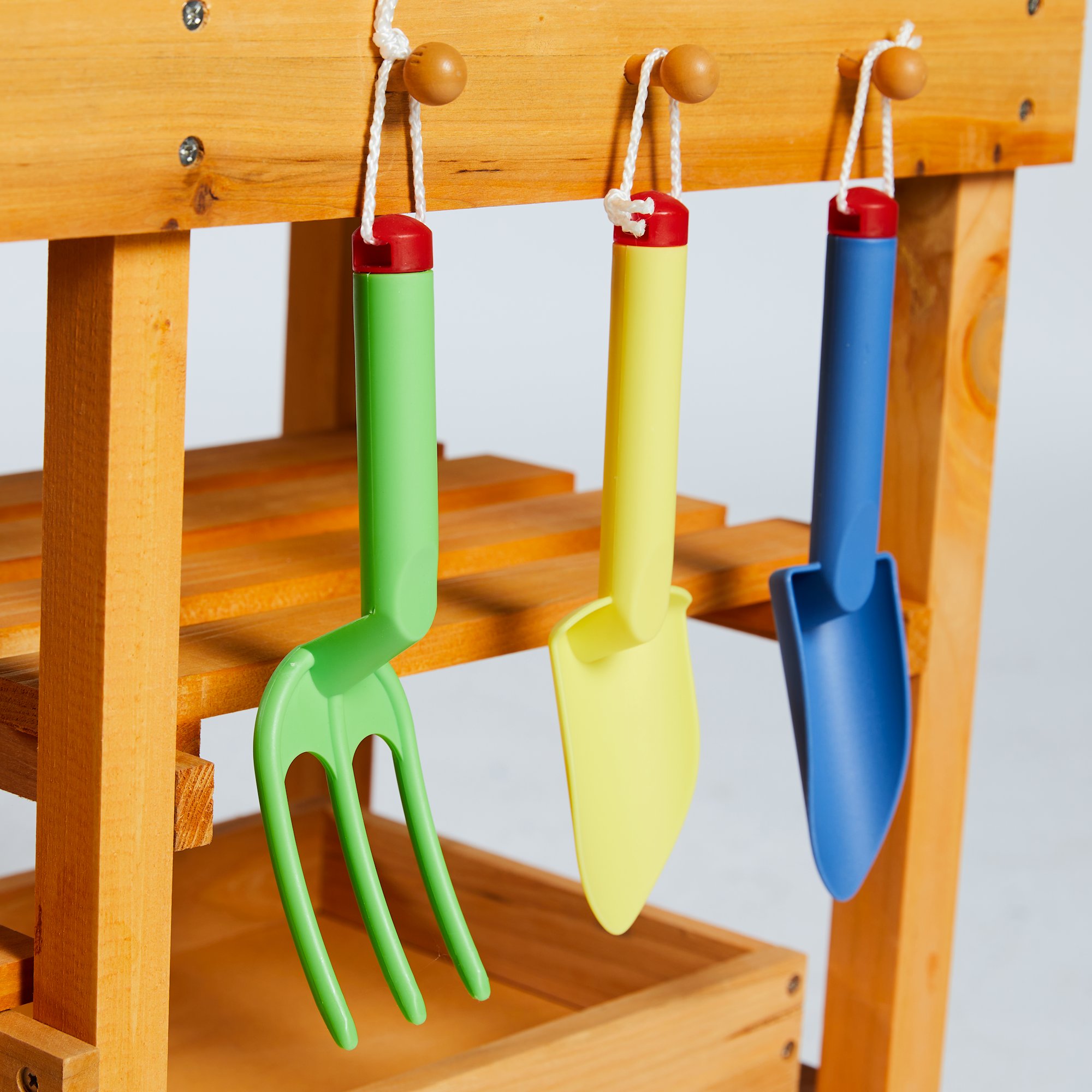 Image.aspx?id=0f92f7a0-943c-4323-9210-d4833a632e07