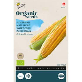 Buzzy Organic sukkermajs Golden Bantam økologiske frø