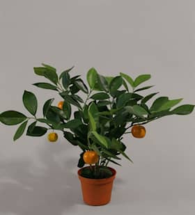 Silkeplanter kunstig citrus plante H32 cm