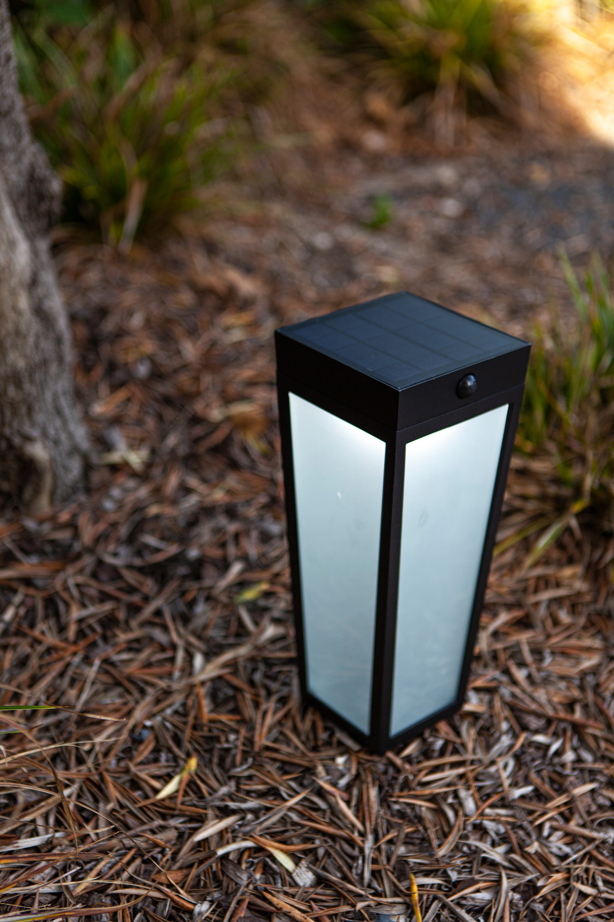 6996601012_6939412089126 (7).jpg