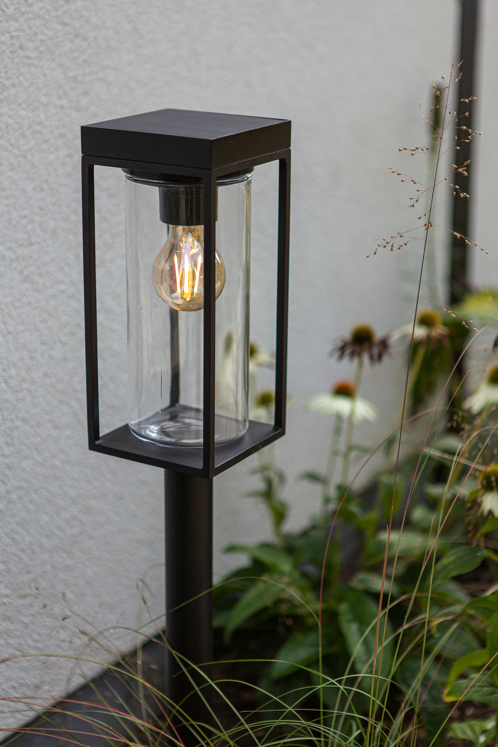 6988802012_6939412070766 (9).jpg