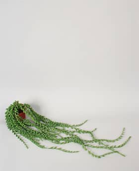 Silkeplanter kunstig Senecio hængeplante L90 cm