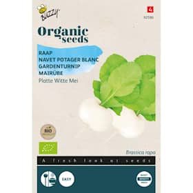 Buzzy Organic majroe Platte Witte Mei økologiske frø