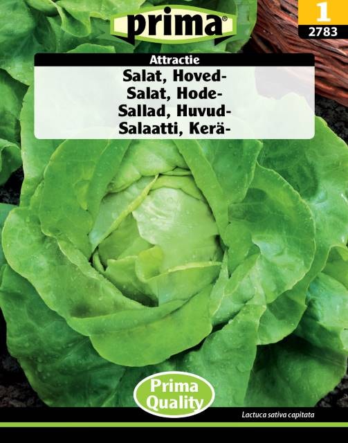Prima Attractie hovedsalat frø til ca. 150 planter