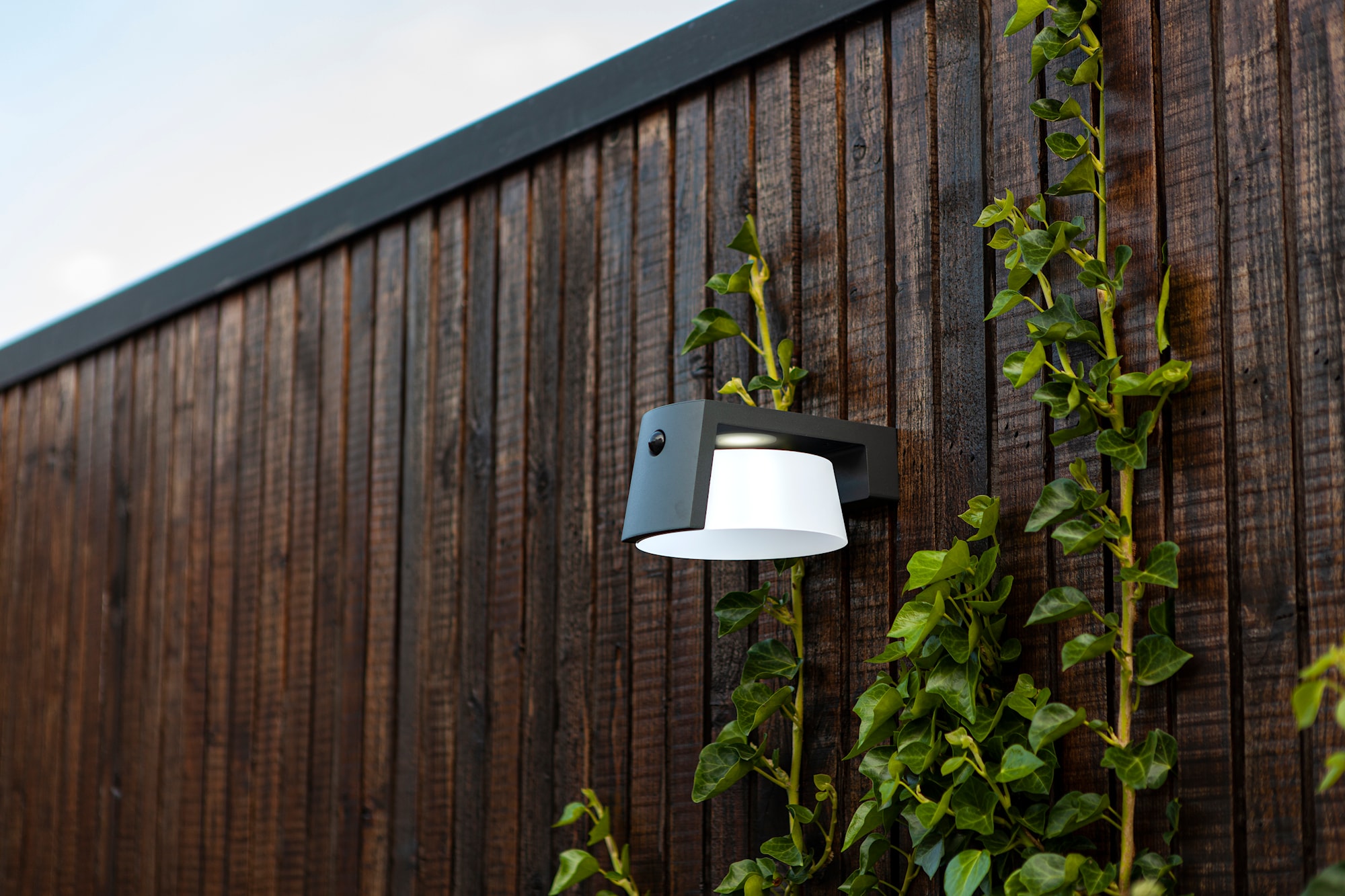 6906001118_6939412014838 (4).jpg