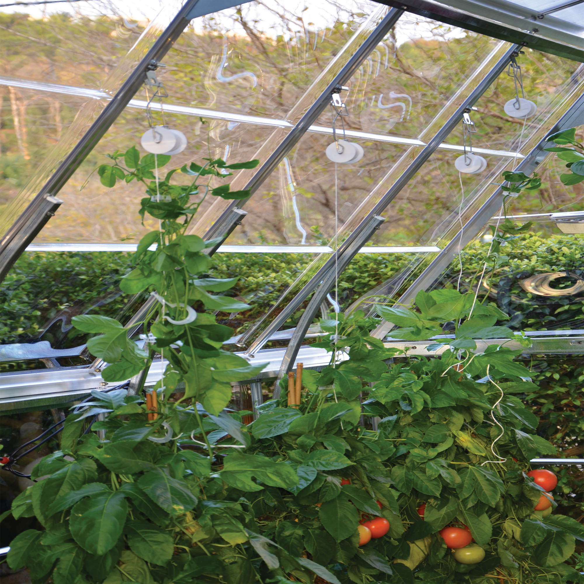 Image.aspx?id=549BB945-9262-4974-8C4C-F8DD7CA24A01