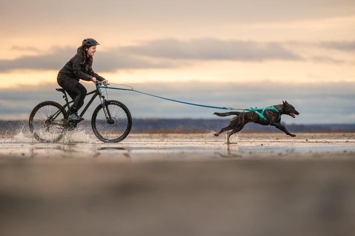 freemotion_harness_5_aqua_setting_1[1].jpg