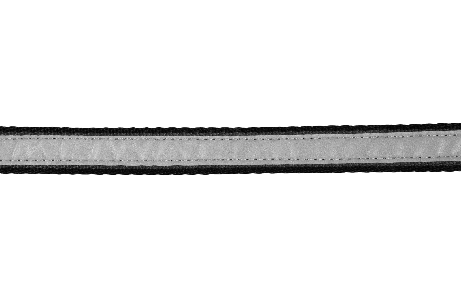 move_leash_feature_3[1].webp