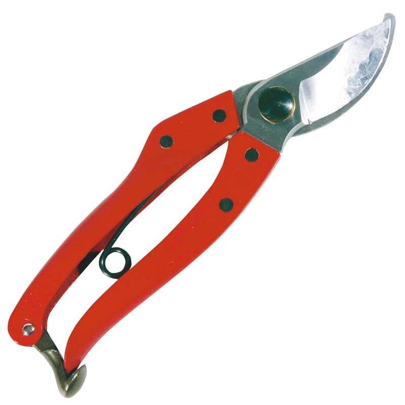 Sekatør Golden Star Medium