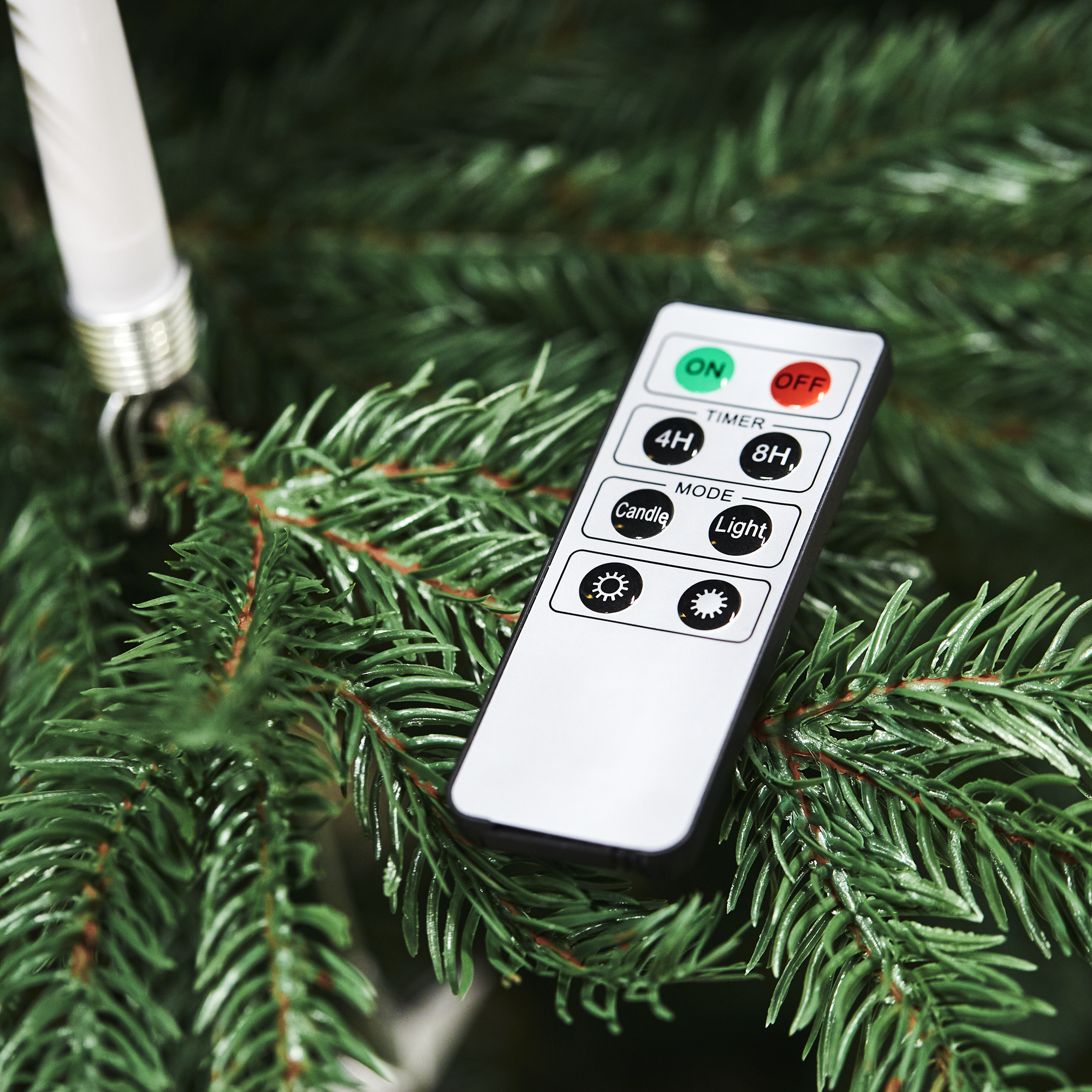 Image.aspx?id=ef106059-5c5e-4120-9ed1-c6fadbfc45ef