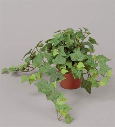 Silkeplanter kunstig efeu busk H20 cm