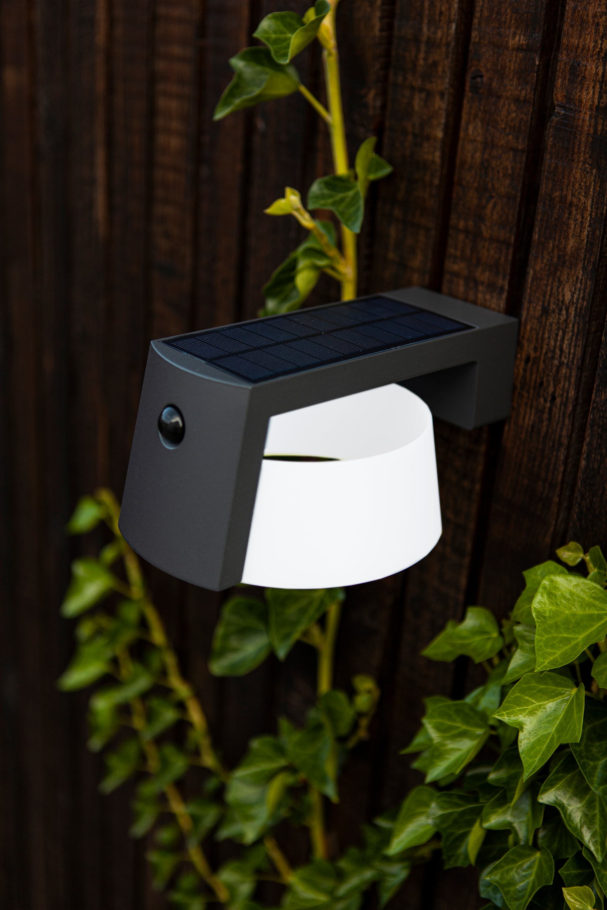 6906001118_6939412014838 (2).jpg