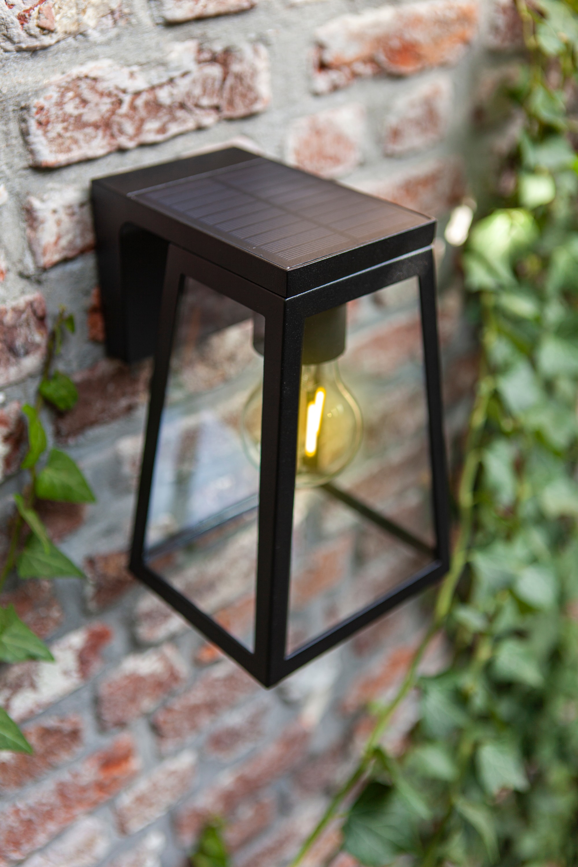 6990901012_6939412014999 (3).jpg