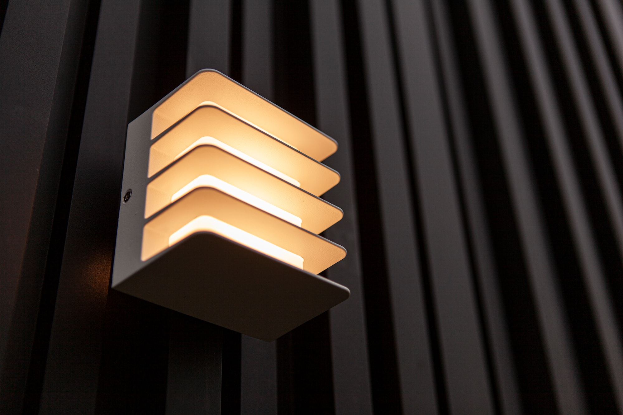 5289401469_6939412014937 (10).jpg