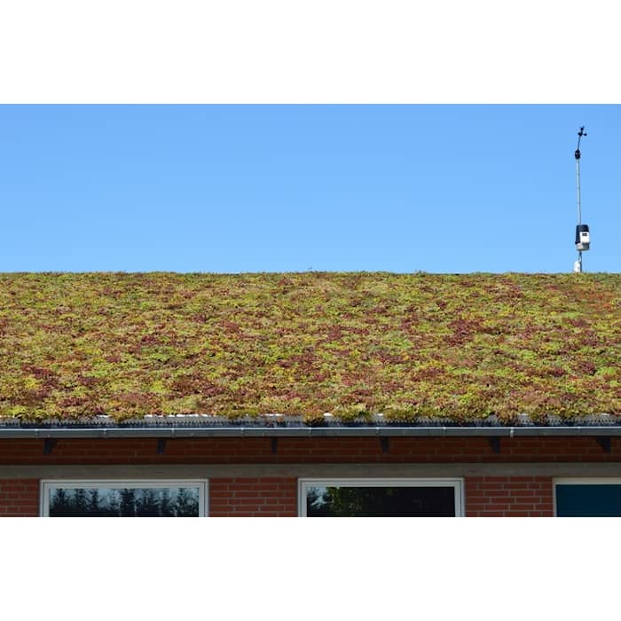 Nature Impact Roof grønt tag gavlprofil sort alu 2,5 meter