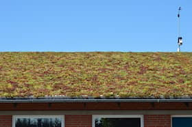 Nature Impact Roof grønt tag gavlprofil sort alu 2,5 meter