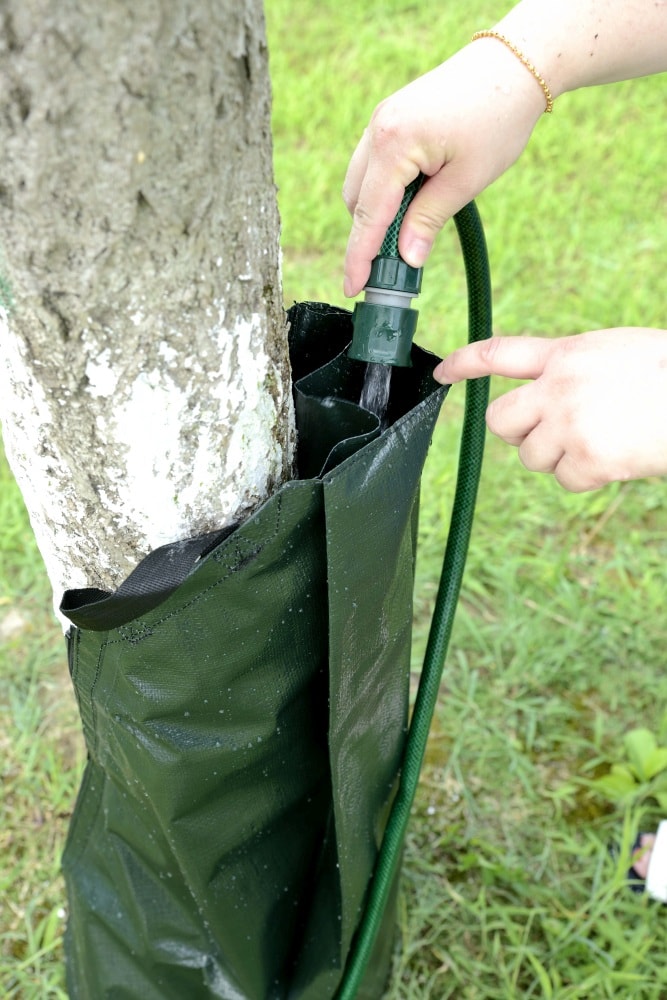 Trolla vandingspose til træ 75L