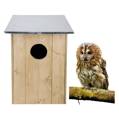 Esschert Design rugekasse til natugle