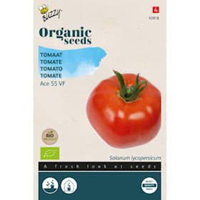 Buzzy Organic tomat Ace 55 økologiske frø