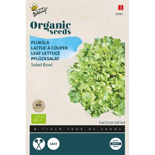 Buzzy Organic pluksalat Green Salad Bowl økologiske frø