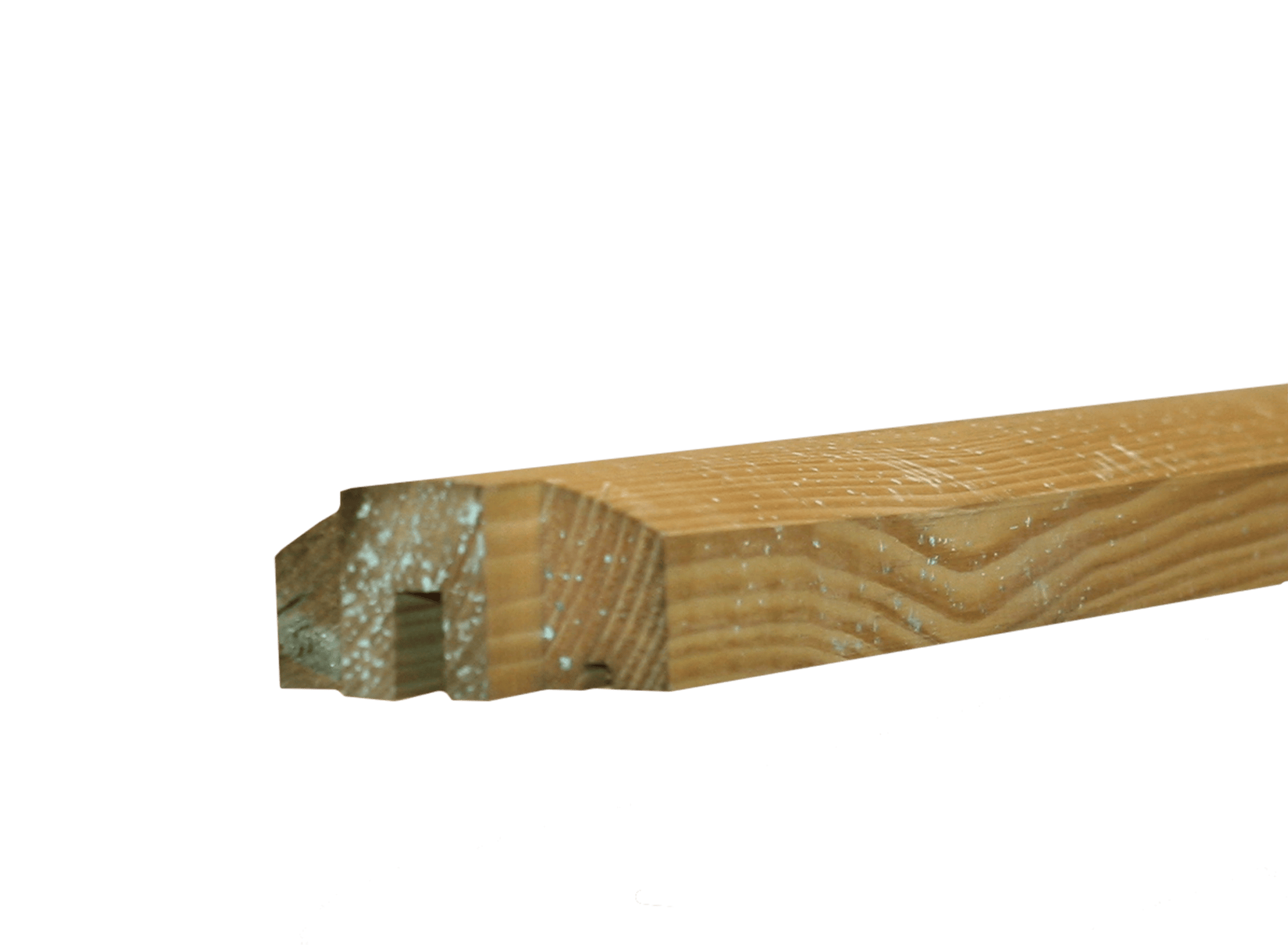 Image.aspx?id=FE83A669-943F-4B4C-8625-EBB34F963767