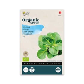 Buzzy Organic vårsalat Grote Noordhollandse økologiske frø